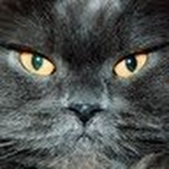 Meet your Posher, Carolyn - Picture 1 of 1